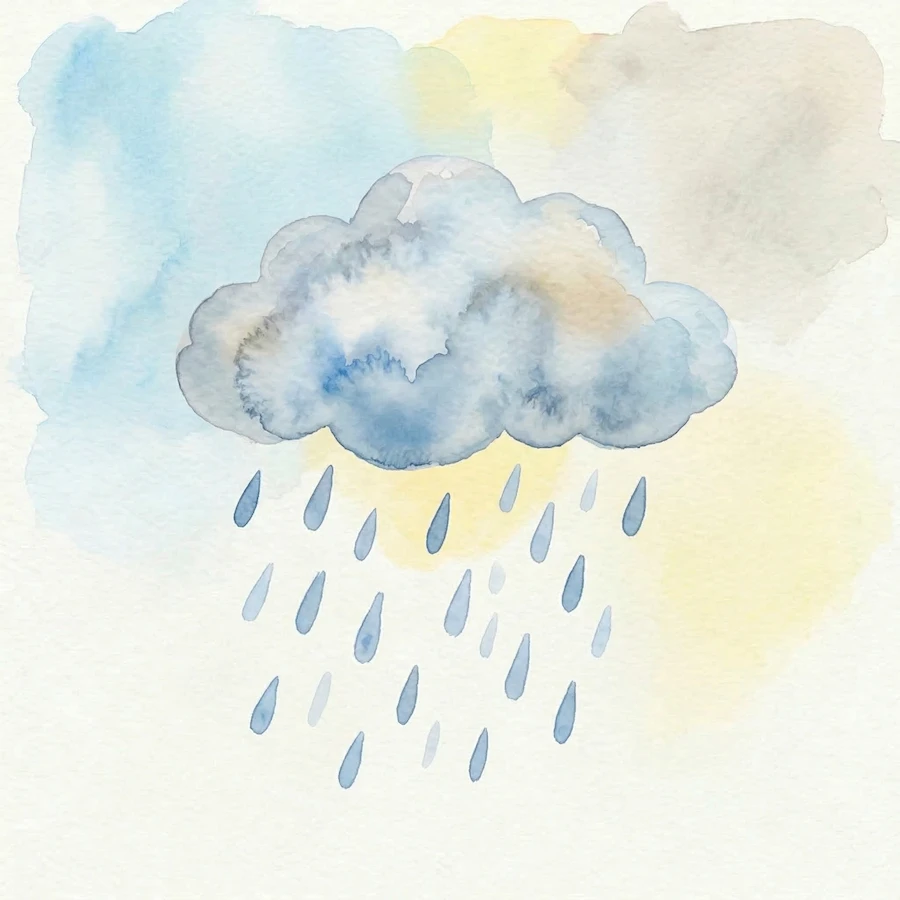 Rainy